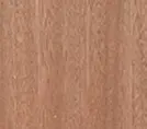 Meranti