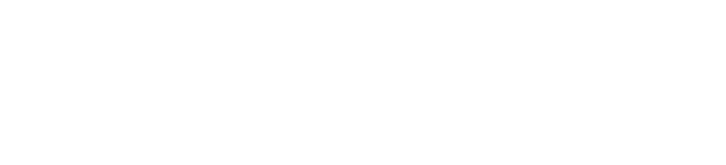 Invicta Door garage doors